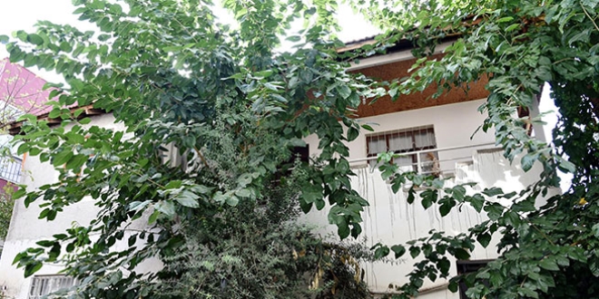 Ağaçdan tırmanıp polisin tabancasını çaldı