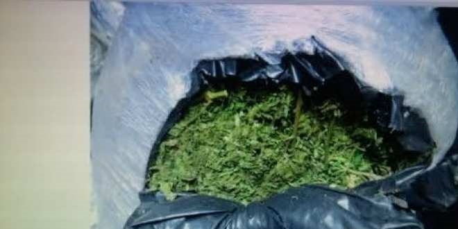 Diyarbakır'da 164 kilogram esrar ele geçirildi
