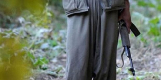 Aşiretlerden PKK'ya karşı 'seferberlik' çağrısı