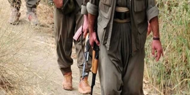 Diyarbakr Lice'de PKK saldrs: 2 ehit