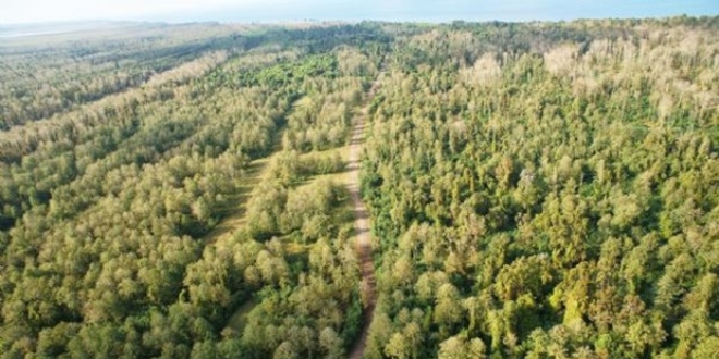 Termik santral olacakt, tabiat park ilan edildi