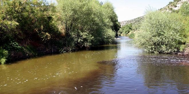 'Gediz Nehri'nde insan etkileyecek kimyasallara rastladk'