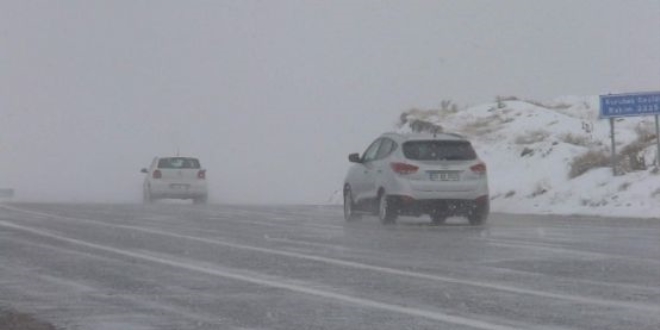 Van ve Ardahan'da kar yağışı hayatı olumsuz etkiledi