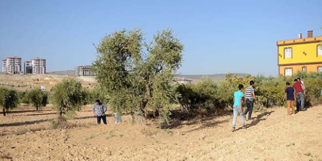 Kilis'e roket mermisi atıldı