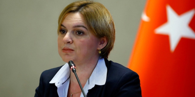 Böke: Türk lirası neden değer kaybediyor?