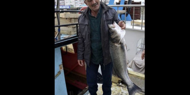 Bir metrelik levrek bin liraya satıldı