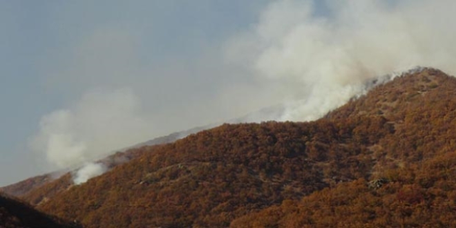 Tunceli'de PKK son 20 yln en byk darbesini yedi