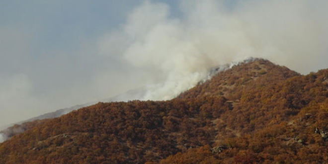 PKK, Tunceli'de son 20 yılın en büyük darbesini yedi