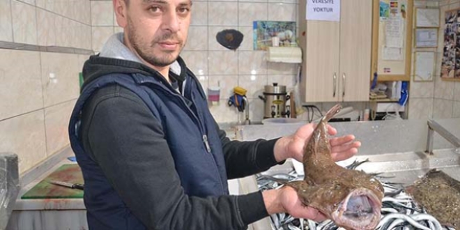 Karadeniz'de ağlara fener balığı takıldı