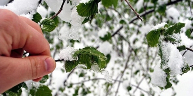 Meteorolojiden zirai don uyarısı