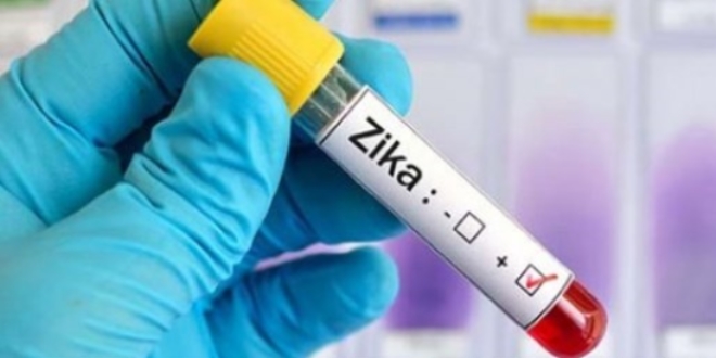 Zika virüsü için 'küresel acil durum' kaldırıldı