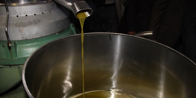 Zeytinyağında fiyatlarla birlikte sahtecilik de arttı