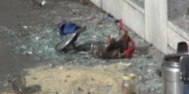 Bitlis'te düdüklü tencere düzenekli bomba imha edildi