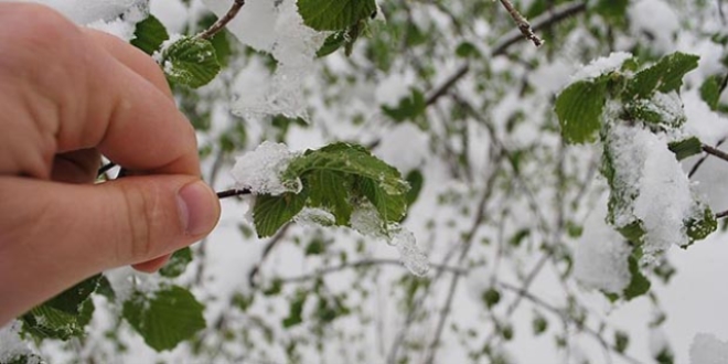 Meteorolojiden 5 il için buzlanma ve don uyarısı