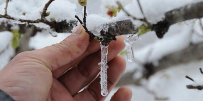 Meteoroloji'den Zirai Don Uyars