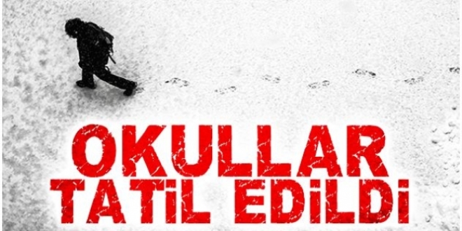 Mardin'de okullar 19 aralık'ta tatil edildi