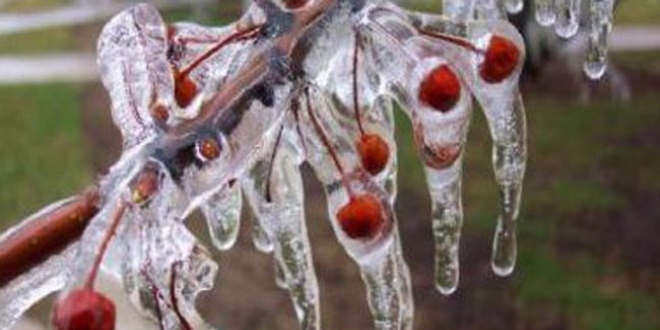 Meteorolojiden zirai don uyarısı