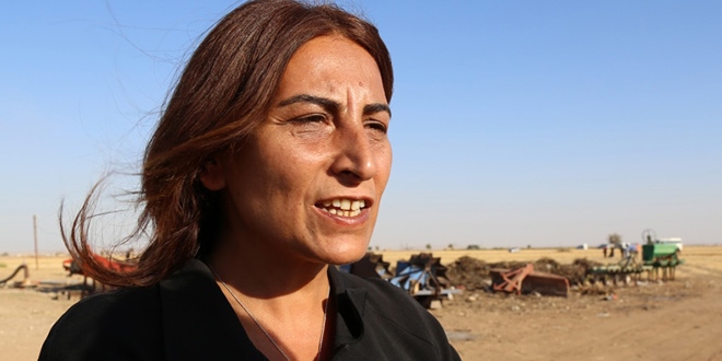 HDP Genel Başkan Yardımcısı Tuğluk, tutuklandı