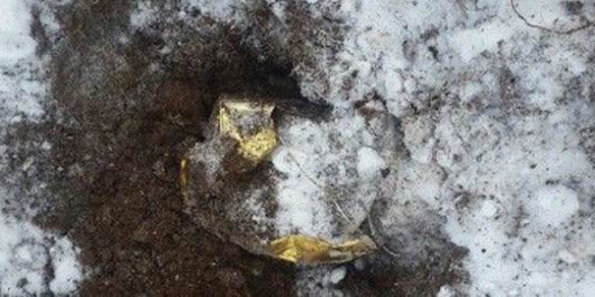Bitlis'te el yapımı patlayıcı imha edildi
