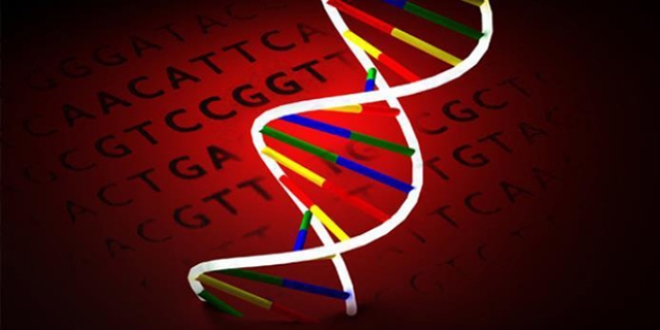 Kltrel farklar insan DNA'sna mhrn vuruyor