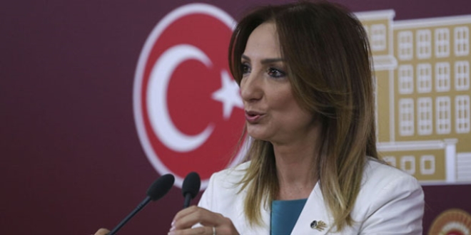Aylin Nazlıaka'nın iptal başvurusunda karar çıktı