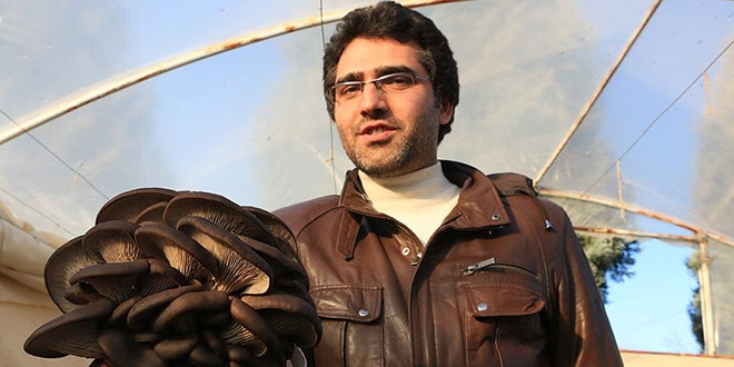 Mühendisliği bıraktı istiridye mantarı üretiyor