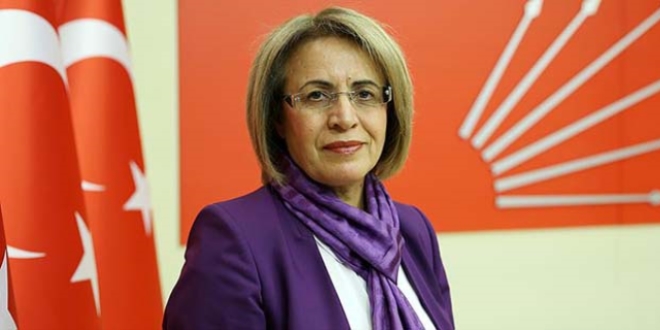 'Bu referandum çalışması bir parti çalışması değil'