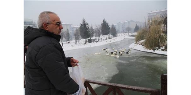 Trabzonlu işçinin buzlu gölette kuğu kurtarma mücadelesi