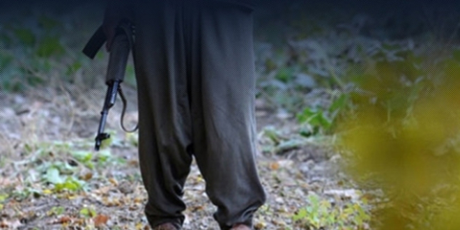 Şırnak'ta 5 terörist teslim oldu