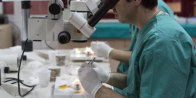 Gen terapisi sağırlık tedavisinde etkili sonuçlar verdi