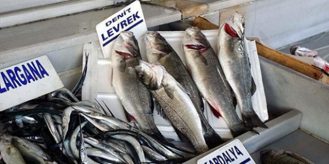 'Levrek ve çipura omega 3 zengini'