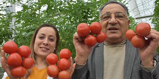 Türk ekonomisinden cesaret aldı 'topraksız sera' kurdu