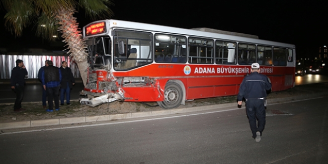 Halk otobüsü ağaçlara çarptı: 3 yaralı