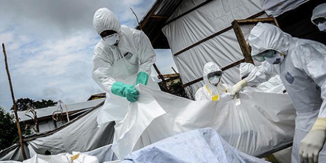 Ebola'yı 'süper dağıtıcılar' yaydı