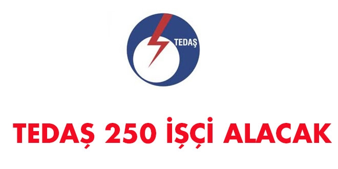TEDAŞ, 250 işçi alacak