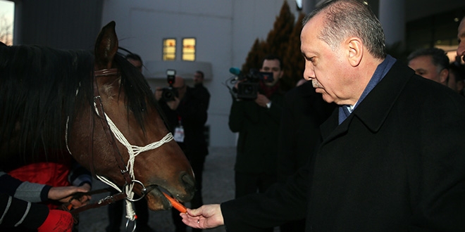 Erdoğan'a tay hediye edildi