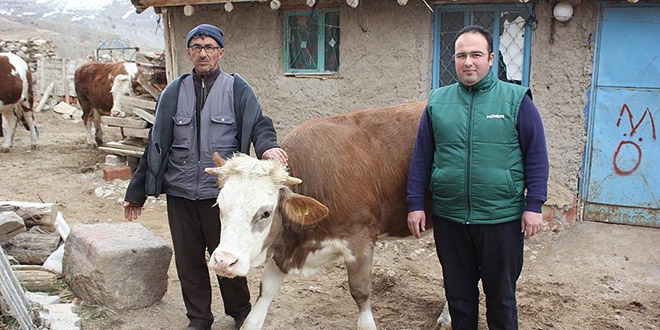 Türk bilim adamının mikroçipi 'Sarıkız'ı kurtardı