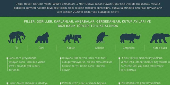 Omurgalı hayvanların 3'te 2'si yok olabilir'