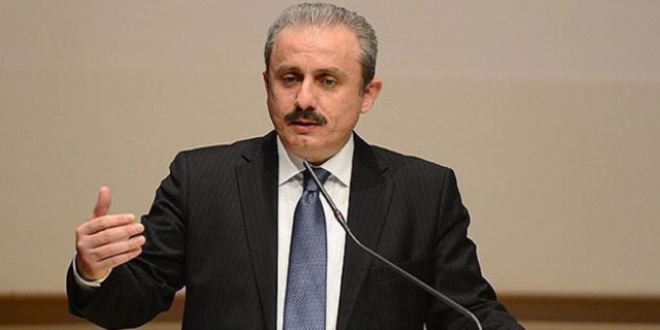 Şentop: Referandum, Türkiye'nin iç meselesidir