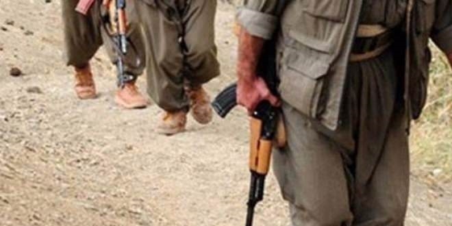 Leyla Zana, 'PKK'yı 20 devlet kullanıyor' demiş
