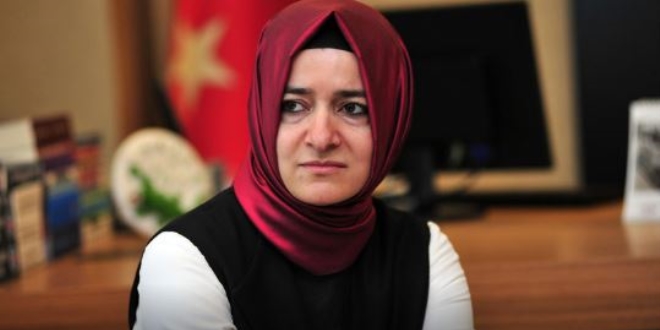 Bakan Kaya, Hollanda'ya karayolu ile gidecek