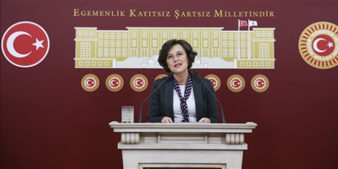 HDP'den 'Hollanda'nın skandal tavrı'na ilişkin açıklama