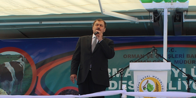 'Cumhurbaşkanıyla başbakan arasında kavga yok'