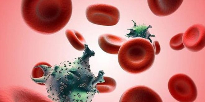 Kızılay'a kan veren 70 kişide HIV çıktı