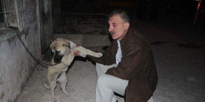 Evi yanan vatandaş köpeği 'Aşkın'ı kurtardı