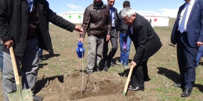 Bin ceviz fidanı toprakla buluştu