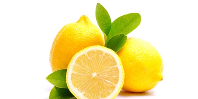 Limonun değerini düşüren zararlıyla mücadele edilecek
