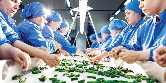 Şirketlerin 217.5 milyarlık döviz borcuna yakın takip