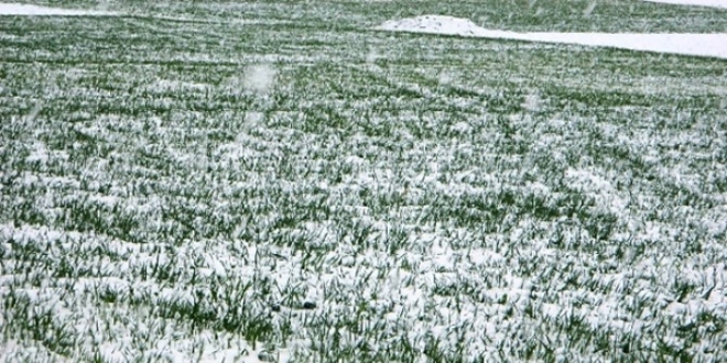 Meteoroloji'den 5 il için uyarı
