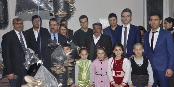 Öğretmenler boş sınıfta mantar yetiştirdi